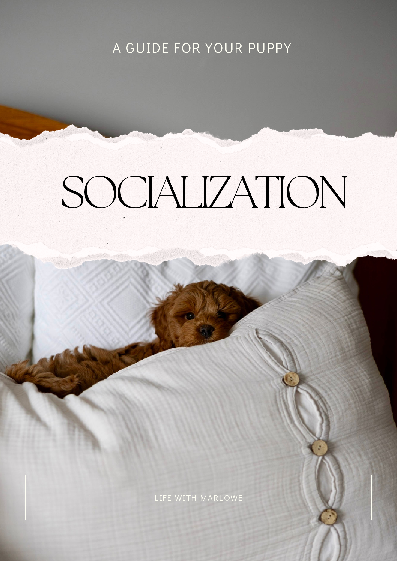 Cover of the Puppy Socialization Guide